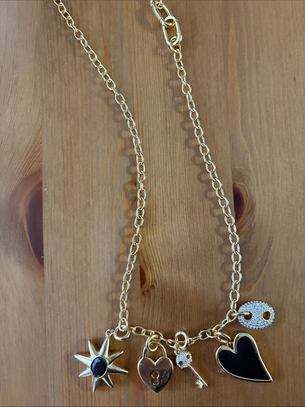 J. Crew Gold Charm Necklace